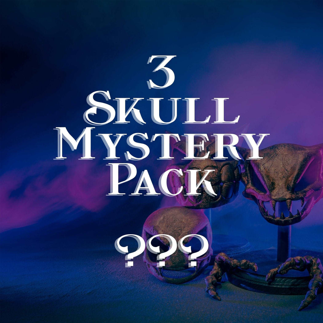 3-pack Skull Mystery Box