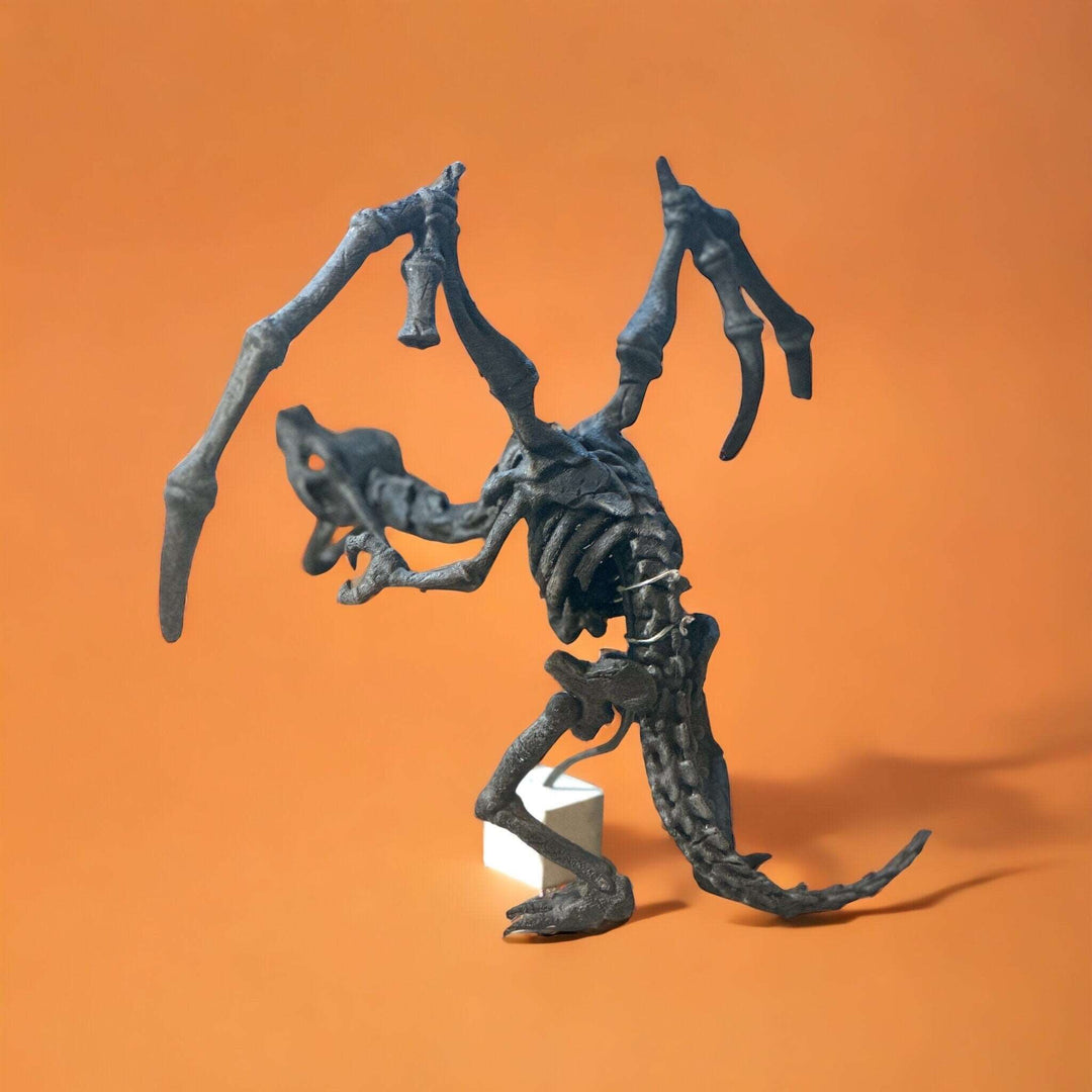 006 Skeleton