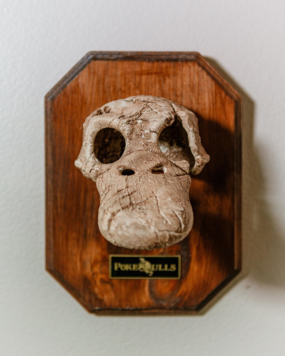 054 Skull Wall Plaque