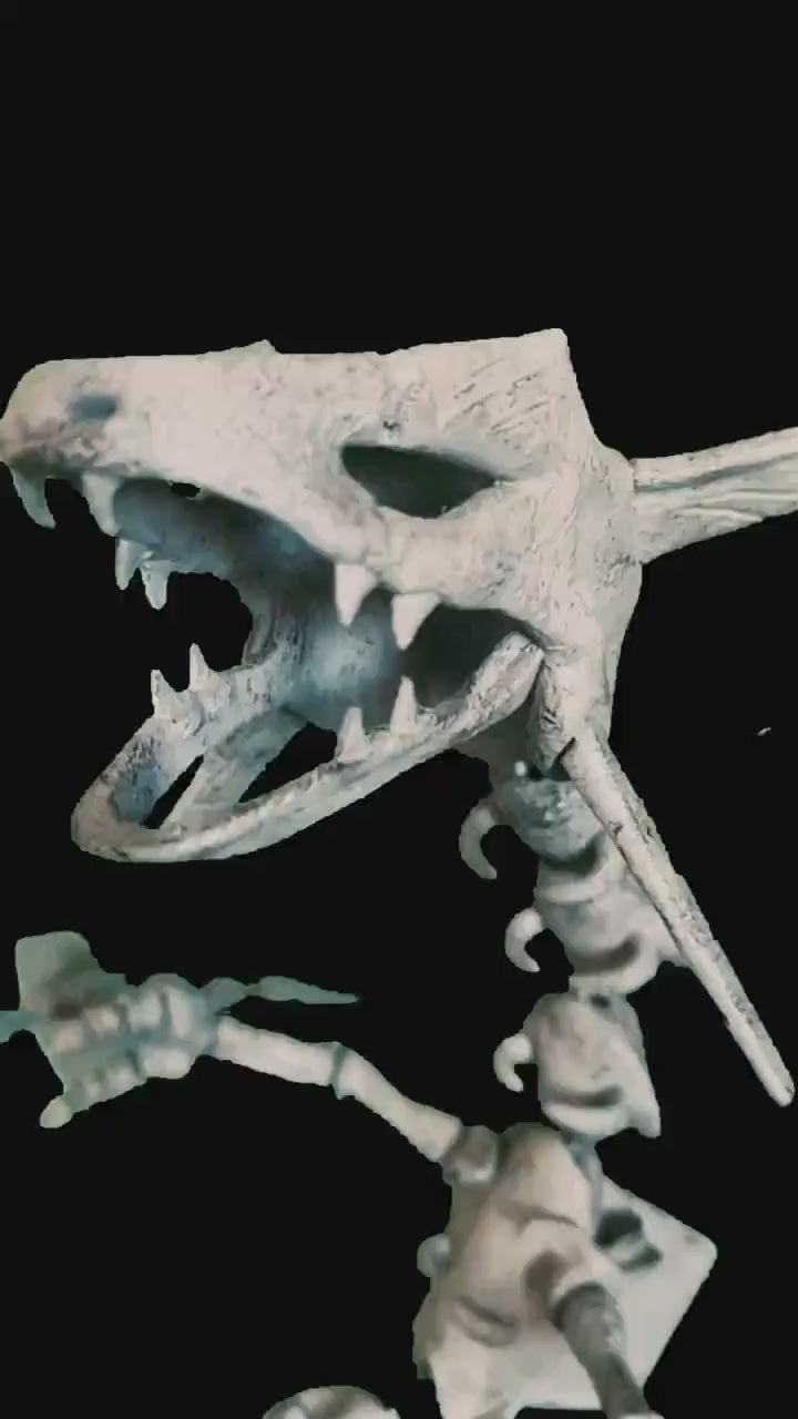 384 Skeleton