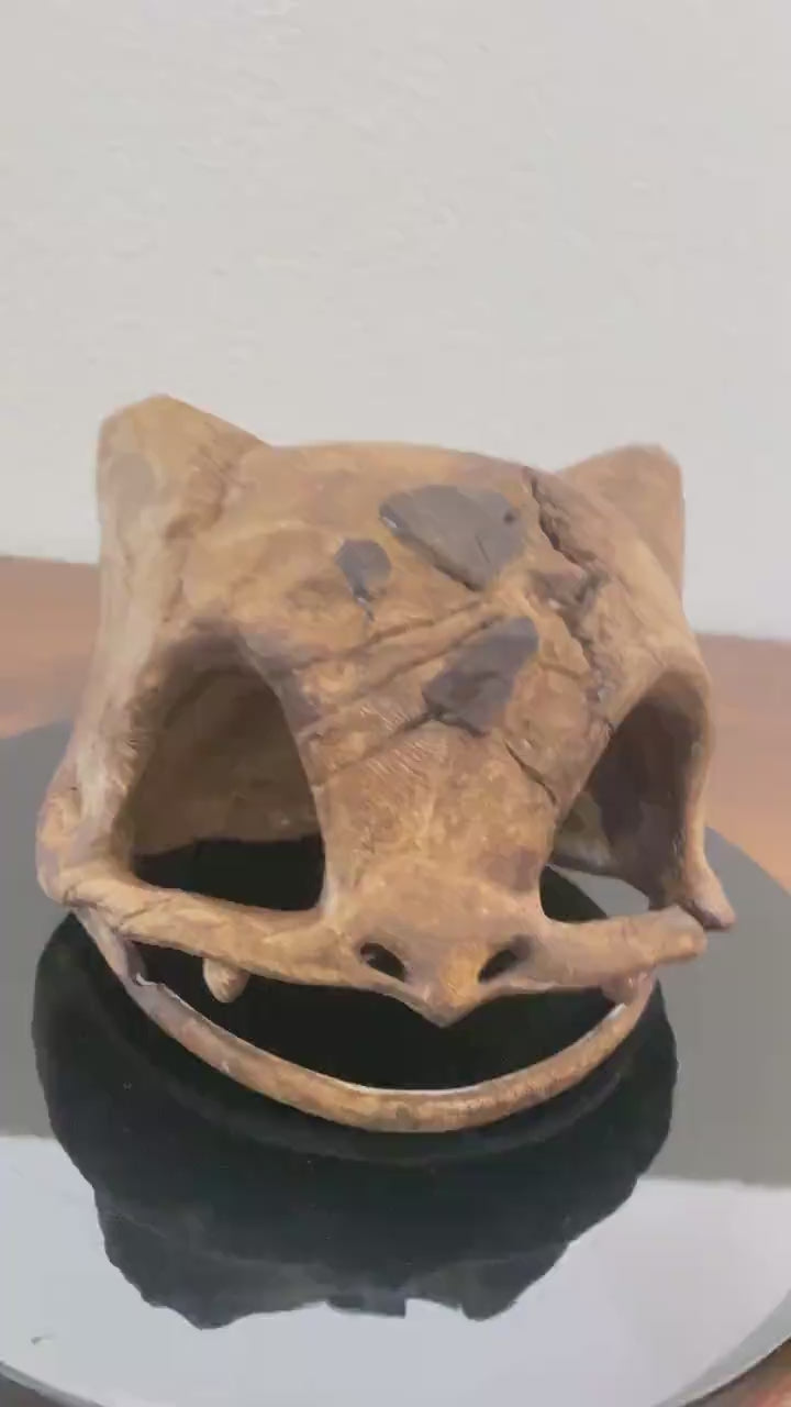 Bulbasaur Skull